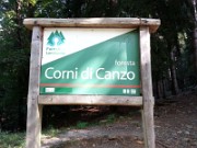 08 - Ops foresta